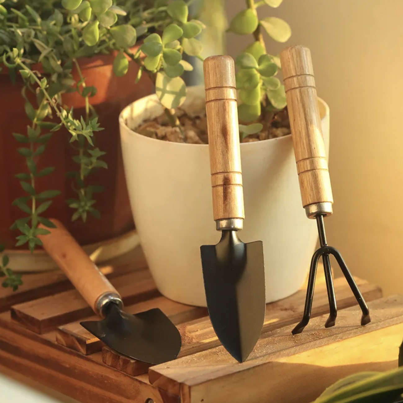 Mini garden tools set