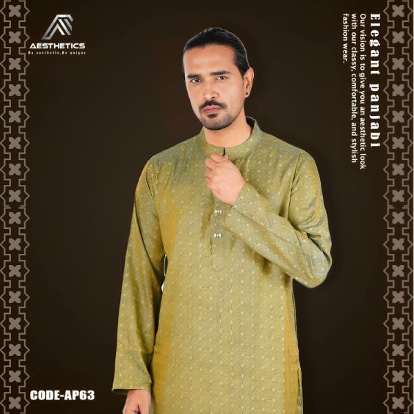 Aesthetic Premium Panjabi