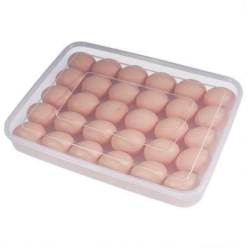 34 grid egg storage box