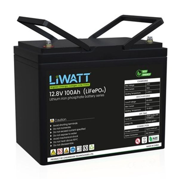 Liwatt Lithium ion LiFePo4 12.8V 100AH IPS UPS Battery