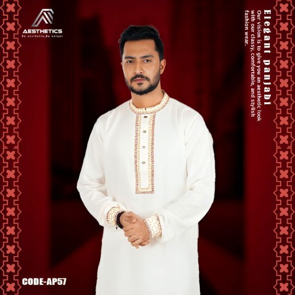 Aesthetic Embroidered ELITE Panjabi