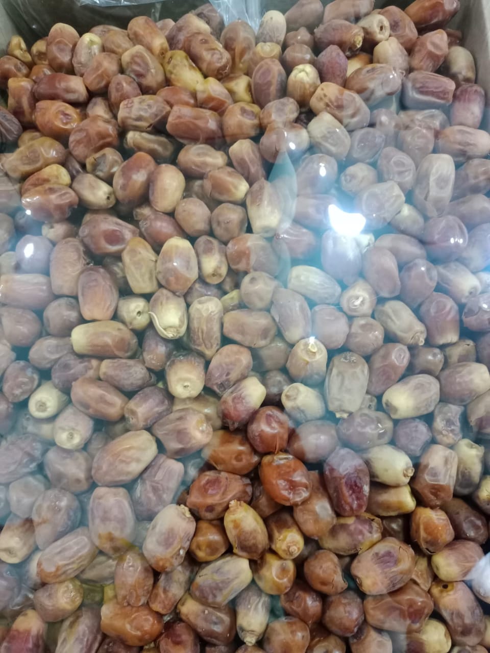 Zihadi Khejur (Dates) 1 KG box