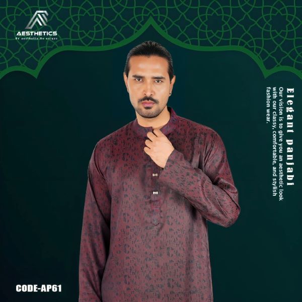 Aesthetic Premium Panjabi