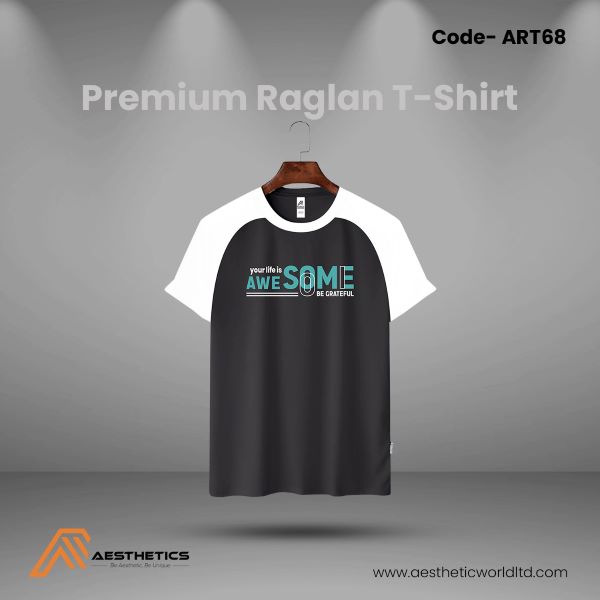 Aesthetic Premium Raglan T Shirt