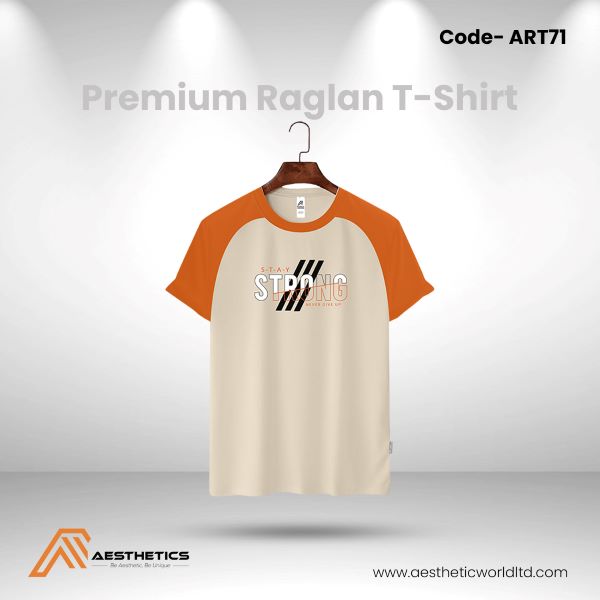 Aesthetic Mens Premium Raglan T Shirt